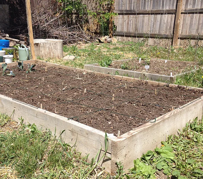 Build raised garden beds