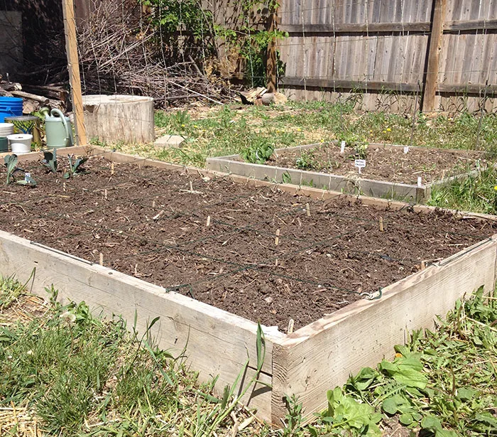 7 Ways To Make Wood Garden Beds Last: Nontoxic Sealer & More ~ Homestead  and Chill