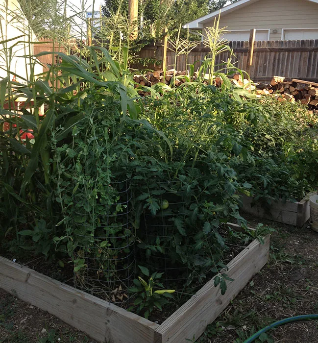 DIY raised garden beds