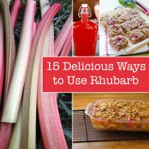 15 Delicious Ways to Use Rhubarb - Off Grid World