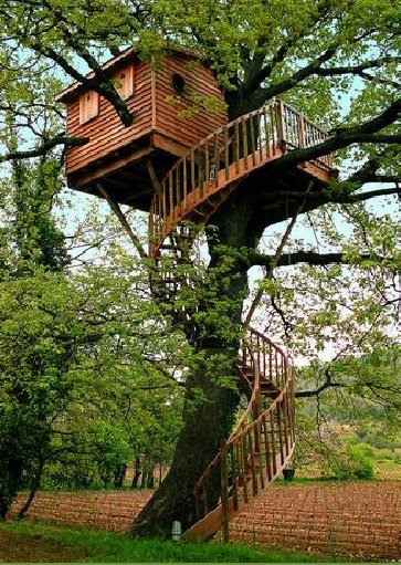 Treehouse cabin