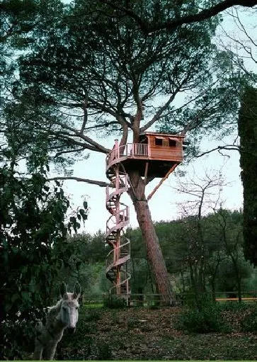 Treehouse cabin