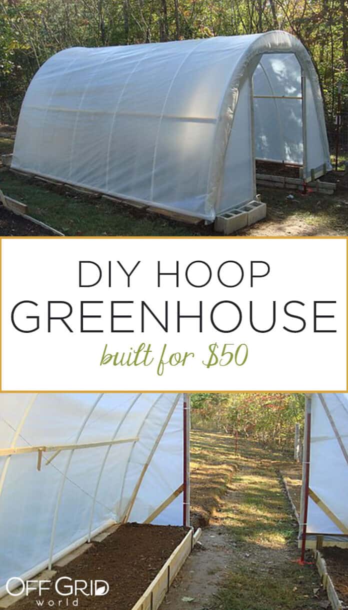 How To Build A Hoop House Greenhouse For $50 - Off Grid World