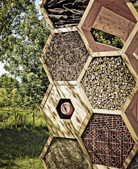 Honeycomb bug hotel