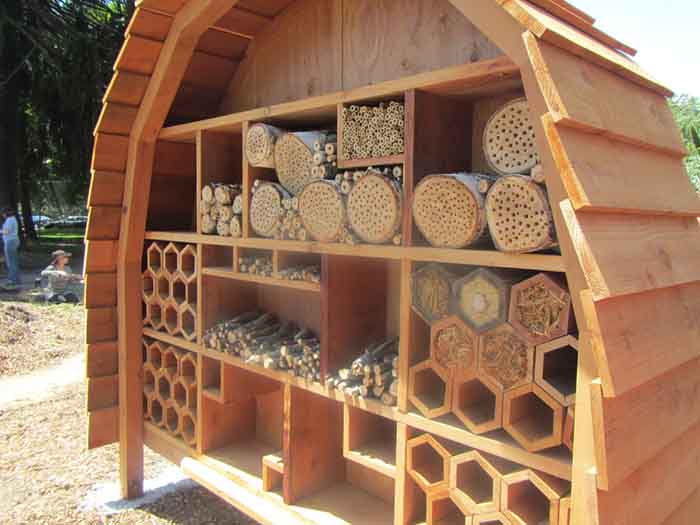 Bee hotel in a park