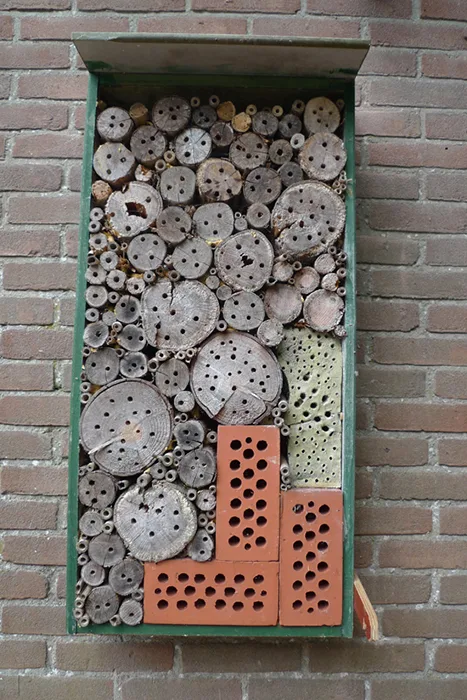 Bee hotel mounted on a wall