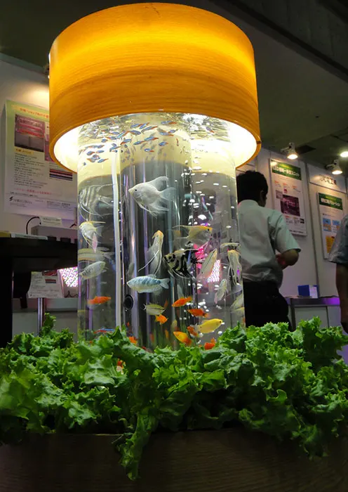 cyl-aquaponic1
