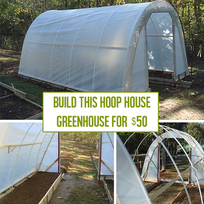 How to Build a Hoop House Greenhouse for $50 - Off Grid World