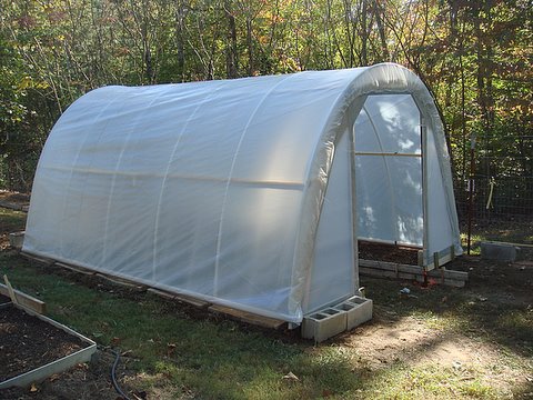 Build a Hoop House Greenhouse for $50