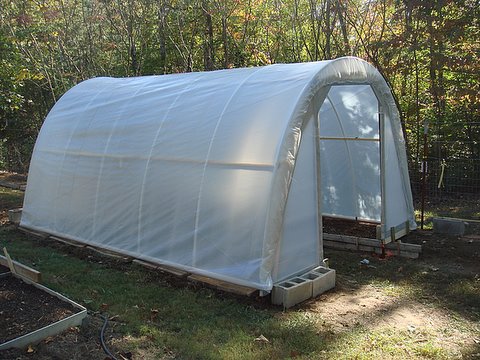 How to Build a Hoop House Greenhouse for $50 - Off Grid World