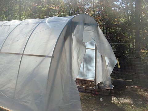 DIY hoop greenhouse