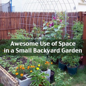 Awesome Use of Space in a Small Backyard Garden - Off Grid World