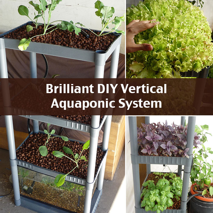Brilliant DIY Vertical Aquaponic System