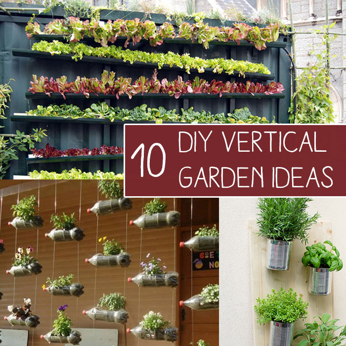 Amazing DIY Vertical Garden Ideas for Home