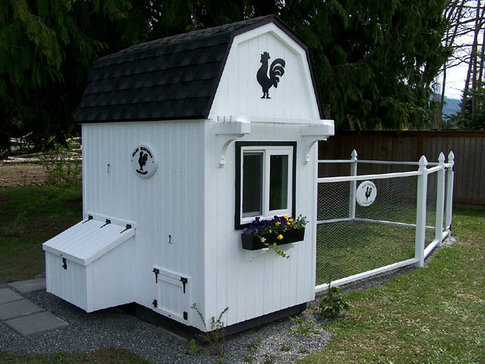 20 Adorable Chicken Coops | Off Grid World