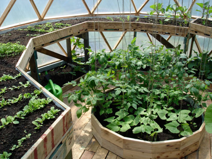 A Beautifully Efficient DIY Dome Greenhouse