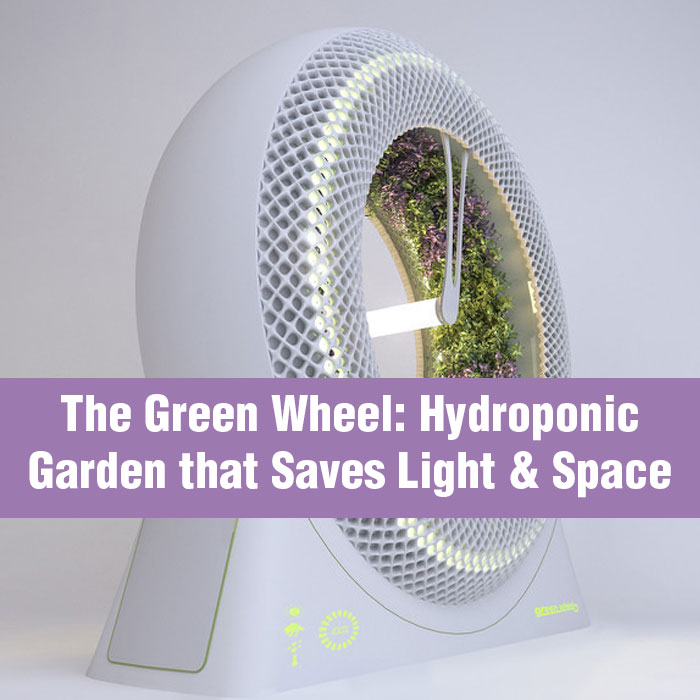 The Green Wheel: Hydroponic Garden that Saves Light & Space
