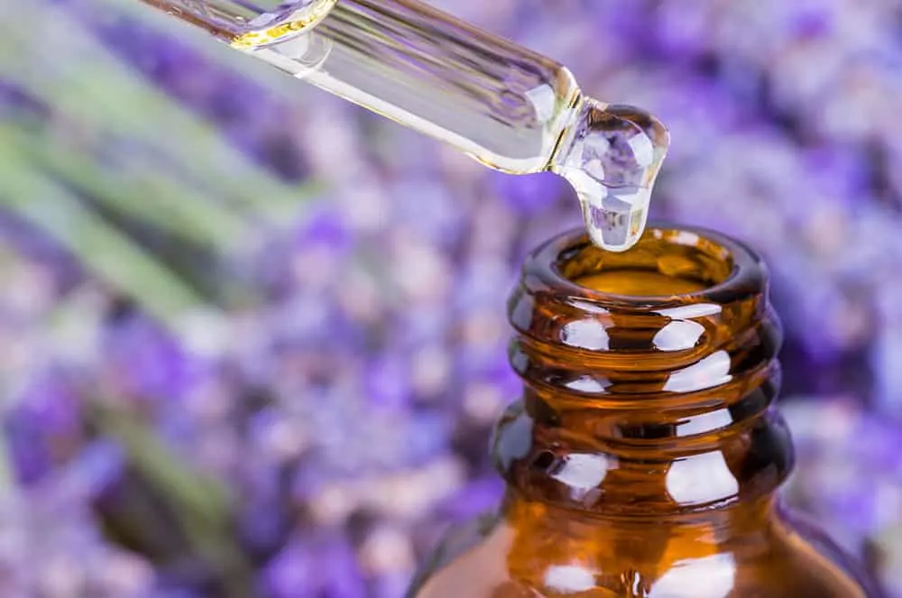 Lavender oil to repel insects