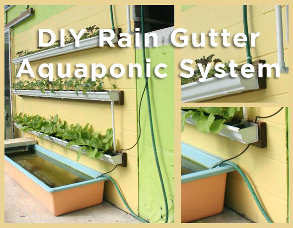 DIY Rain Gutter Aquaponic System - Off Grid World