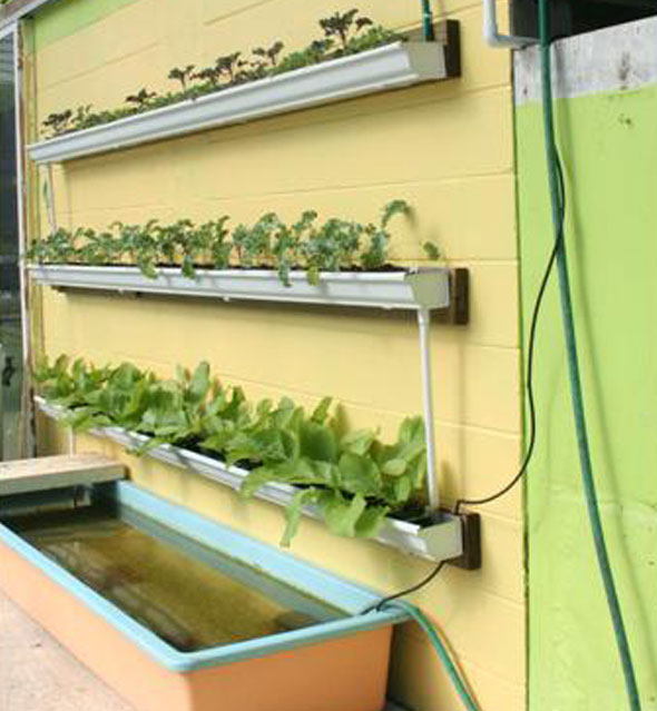 diy rain gutter aquaponic system - off grid world