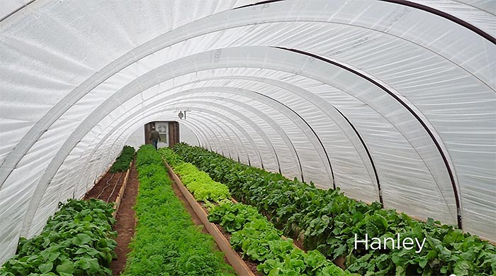 500 Greenhouse: How To Build A Hoop House | Off Grid World