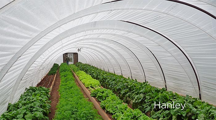 Commercial greenhouse guide