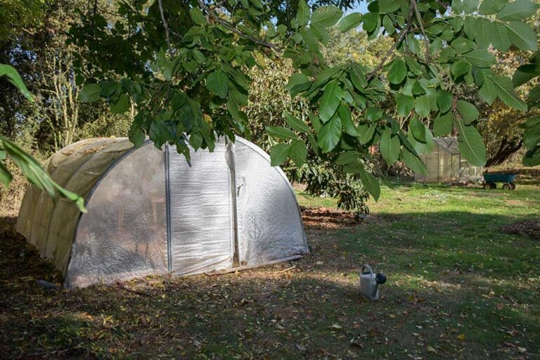 $500 Greenhouse: How To Build A Hoop House