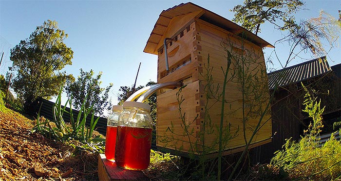 Flow Hive: Honey on Tap Directly From Your Beehive!