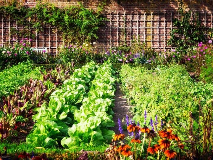 How to Create a Low Maintenance Garden
