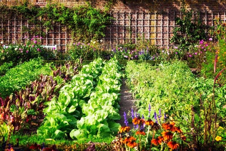 How To Make Money Off Grid: Making A Living From Your Homestead