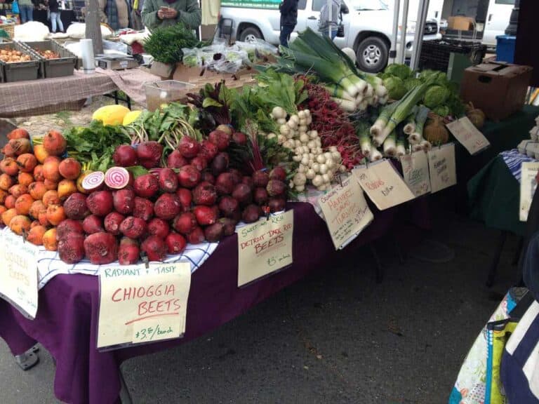 Organic Farmer Grosses $100,000 Per Acre on 8 Acre Farm