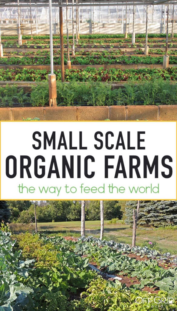 UN Report Says SmallScale Organic Farming Only Way To Feed The World