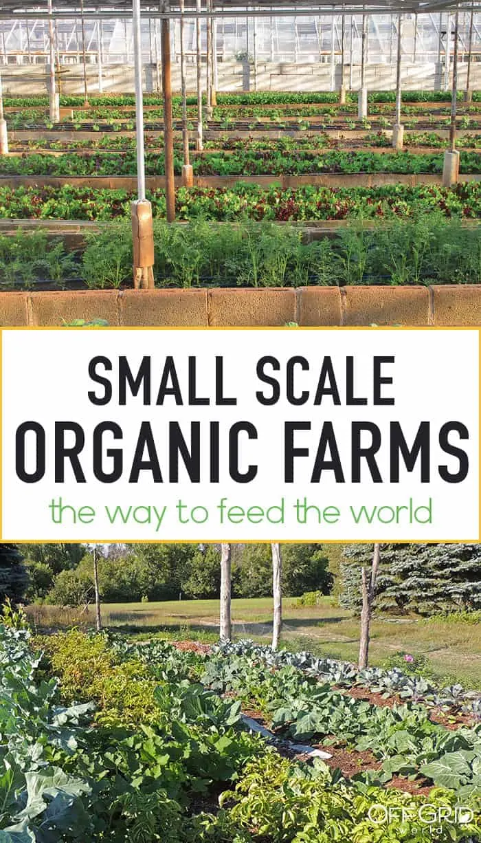 Small organic farms