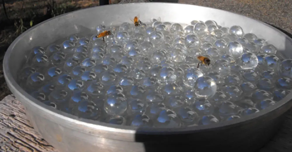 DIY bee watering station