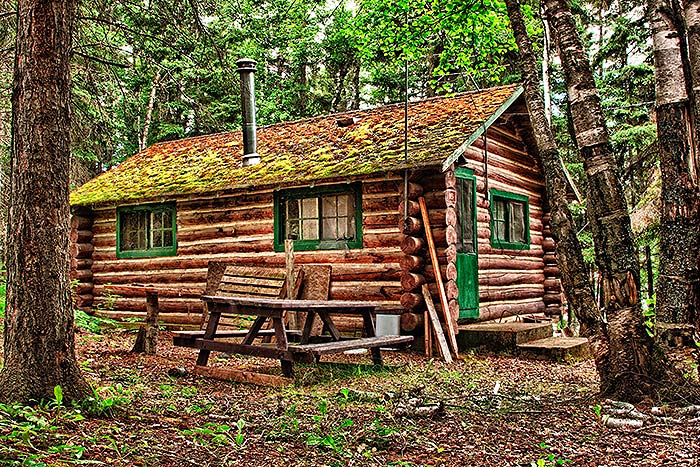 cabin-woods
