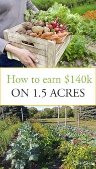 How To Earn $140k Farming 1.5 Acres - Off Grid World