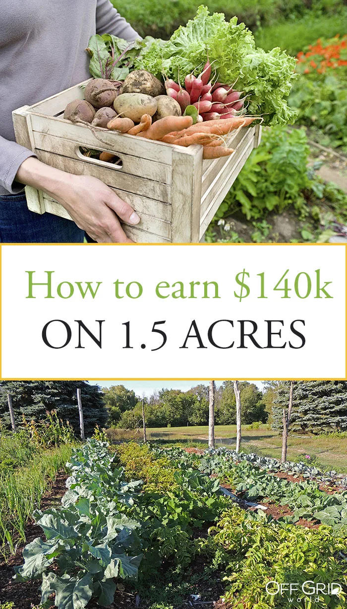 Small farm income