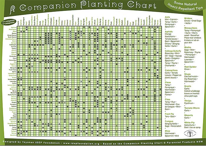 Planting Dates Chart