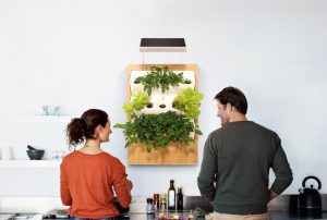 View of Meet Herbert, The Vertical Hydroponic Smart Garden That Fits On Your ...