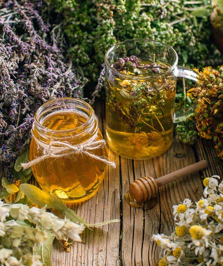 7 Easy Ways To Preserve Herbs From Your Garden - Off Grid World