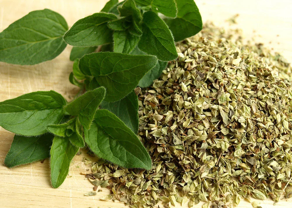 Ways to preserve herbs