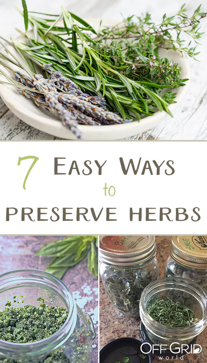 Easy ways to preserve herbs