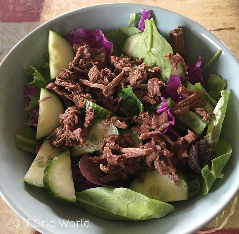 Instant pot venison on a salad