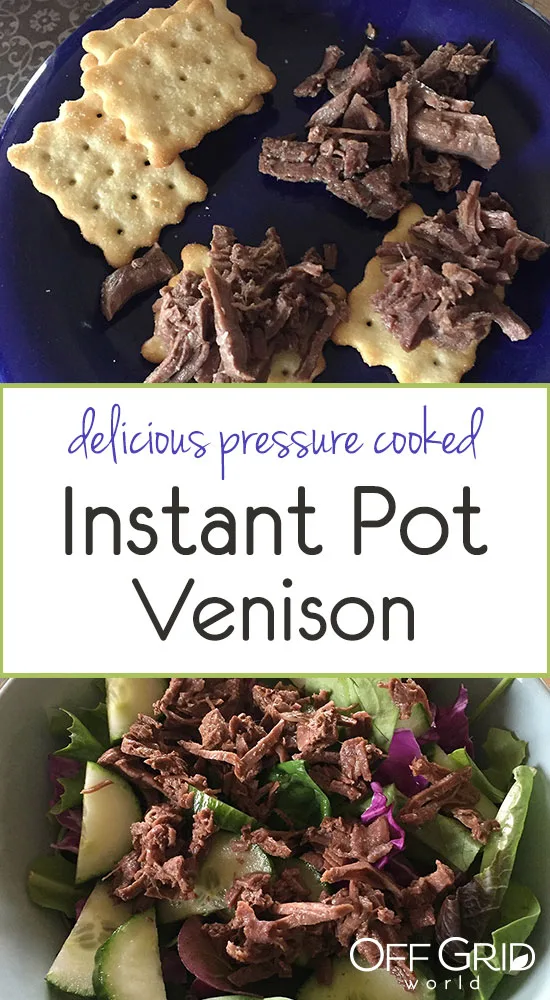 Instant Pot venison