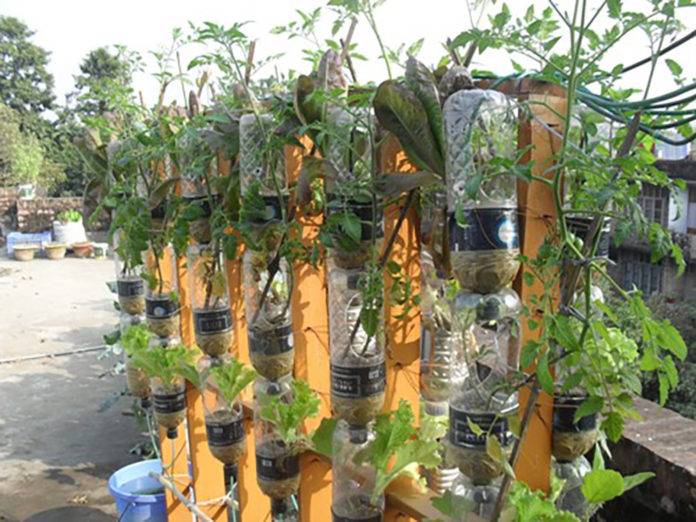 Why Aquaponics is an Amazingly Sustainable Way to Put Food on Your ...