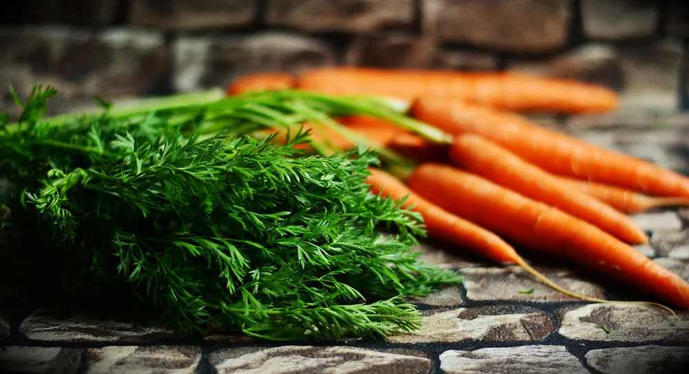 garden carrots