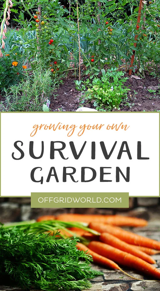 Growing a survival garden