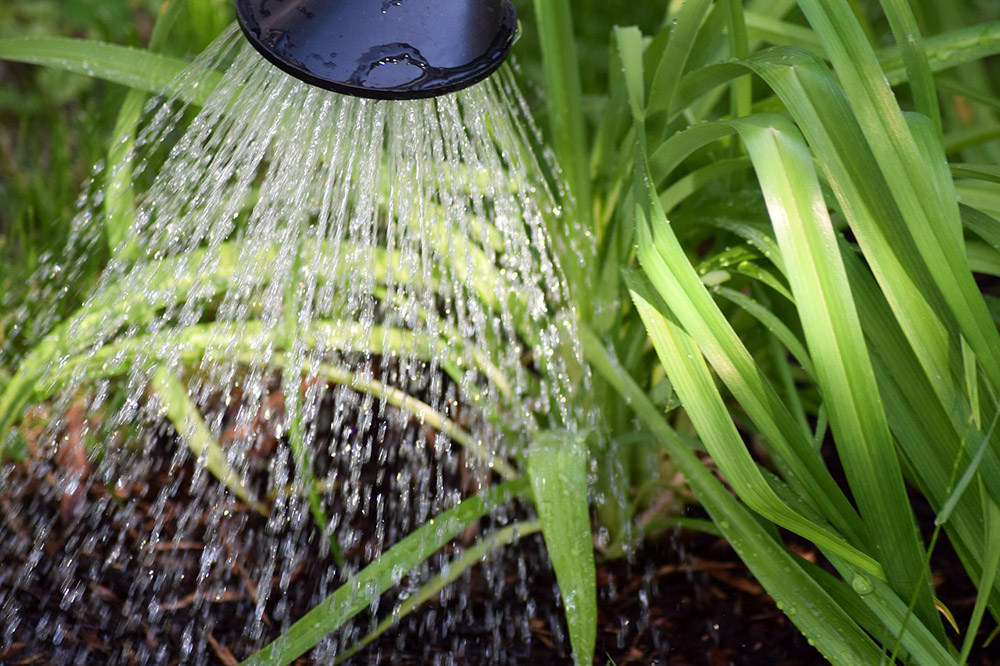 Using Greywater in Your Off-the-Grid Household