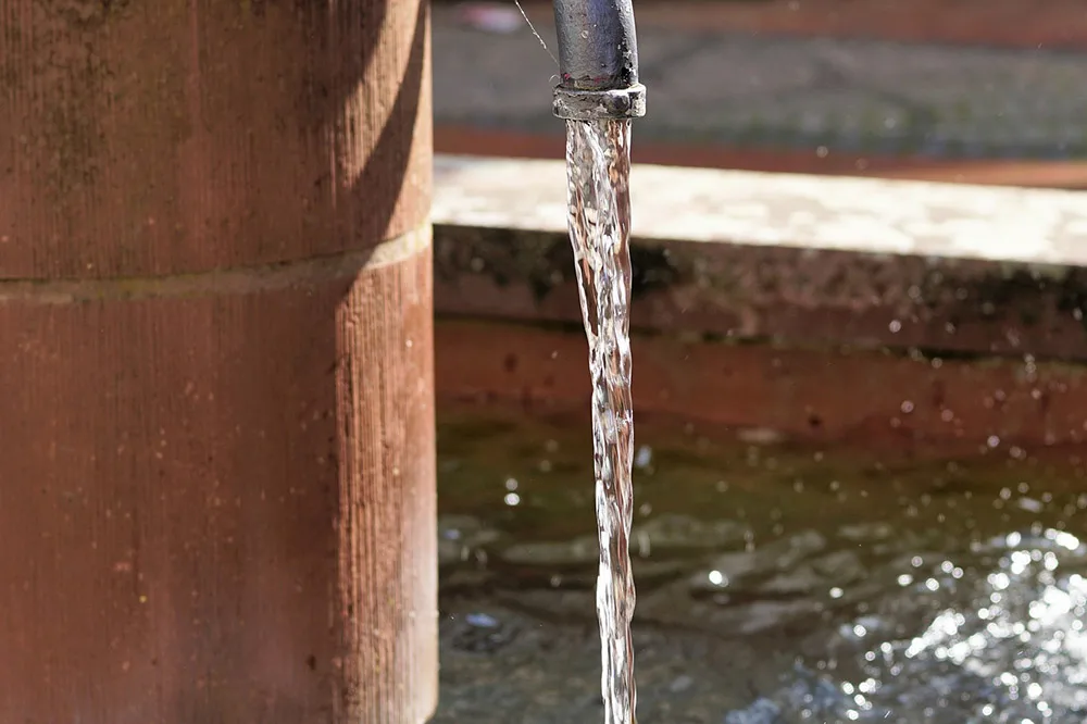 Looking for inputs to this grey water filtration set up : r/OffGrid