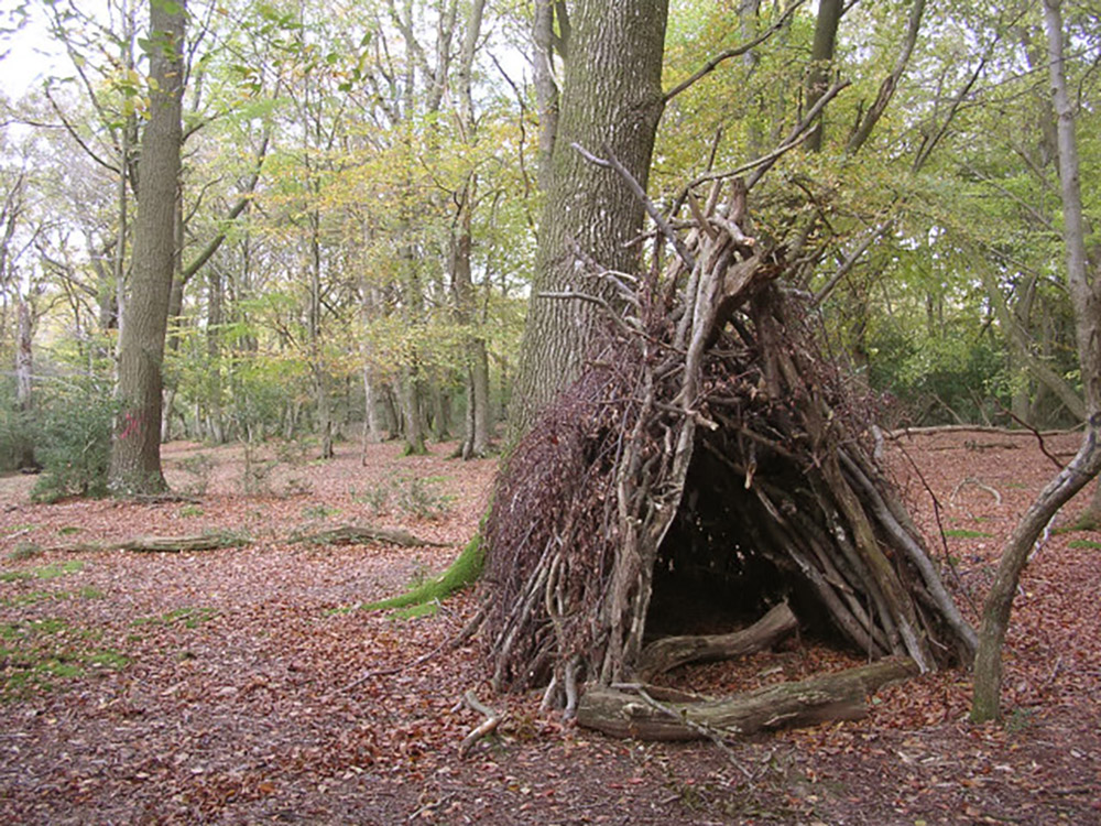 how to create a shelter in the wilderness